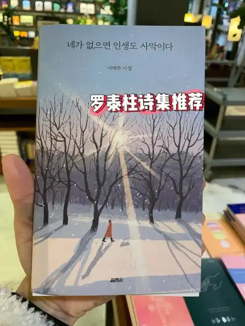 必读韩语诗集如果没有你我的人生就是沙漠