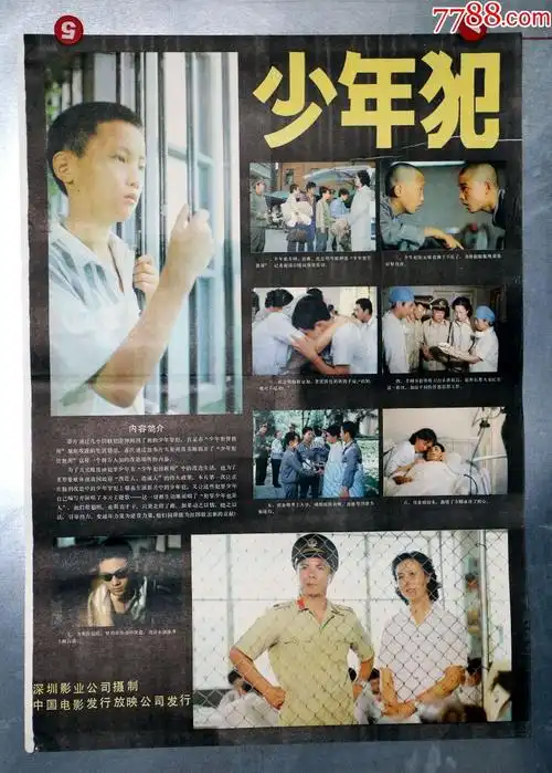 少年犯(百花奖获奖影片)-au16511766-电影海报-加价-7788收藏__中国