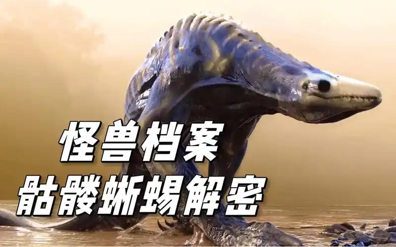 哥斯拉远古怪兽档案之骷髅蜥蜴解密