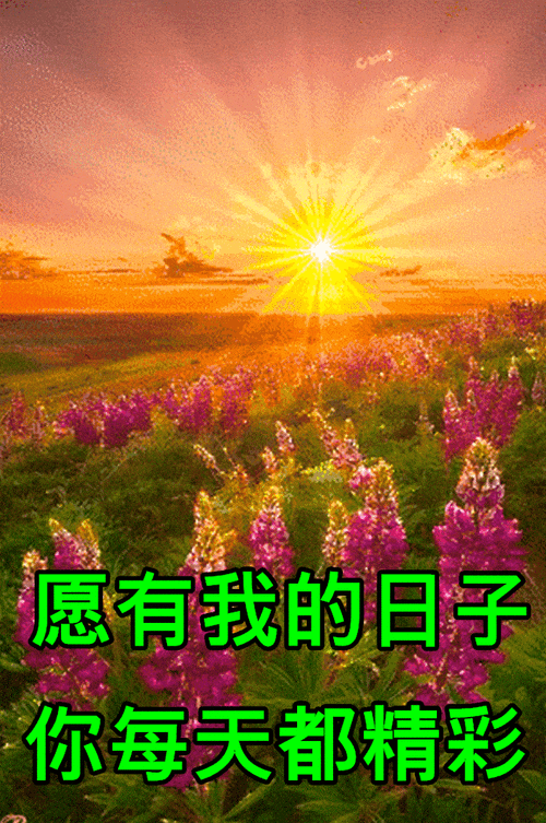 3,早上的晨曦是我问候的主题,愿你今天幸福多彩;初升的太阳是我祝福的