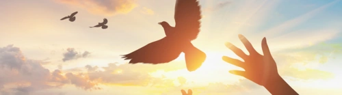 北京华亿神州科技有限公司-医院装饰装修/洁净工程-负压隔离病-医用