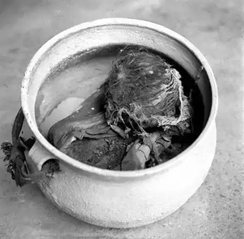 (阿姐鼓是什么,你来看?