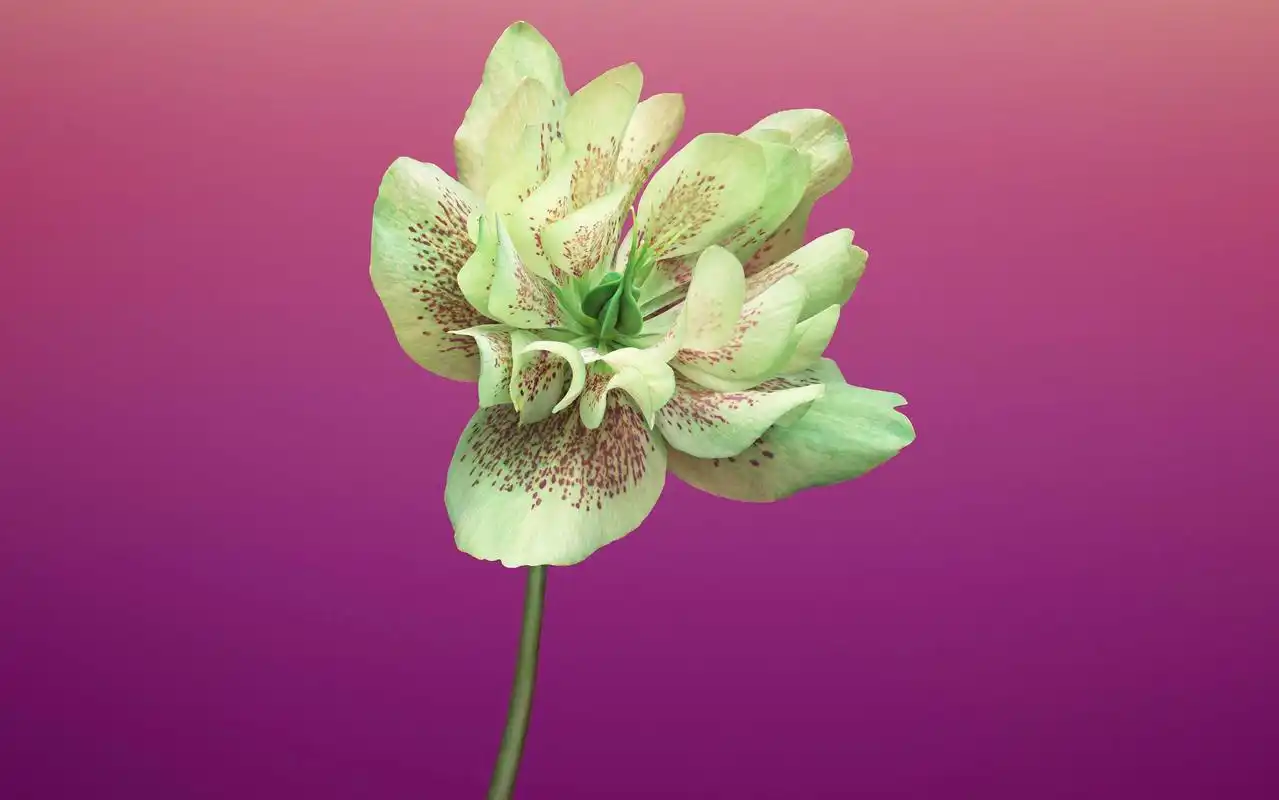 苹果ios11官方系统最新主题桌面壁纸图片高清大图预览1920x1200_设计