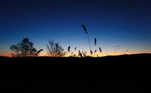 一夜无话,也许是在黎明破晓时分,梦的纠结,让我仿佛在迷迷糊糊中醒来
