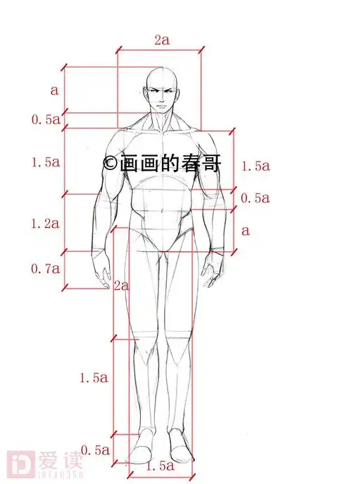 如下图,a代表一个头长.用人物的人头为单位衡量身体各个部分的比例值.