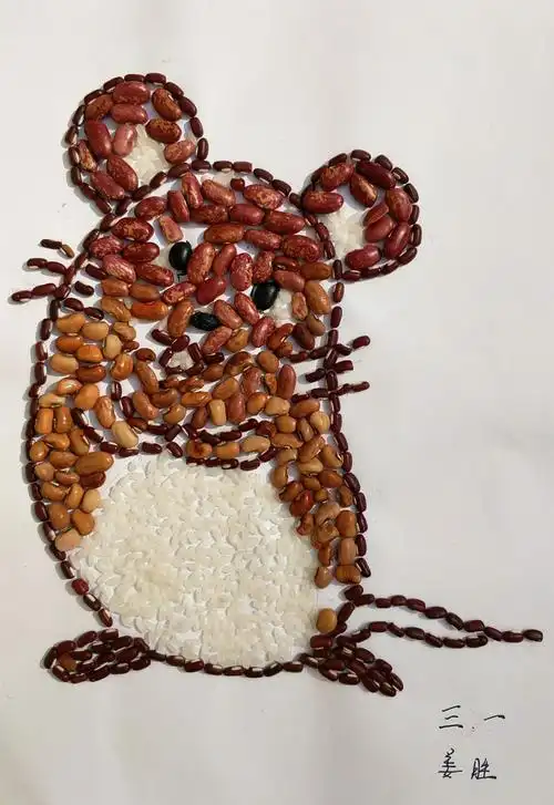 蓝村二小三年级一班《精彩的种子画》