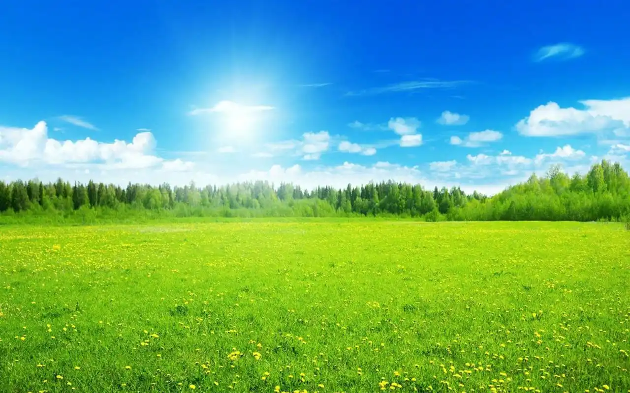 分享一组唯美护眼草原风景图片壁纸给大家,清新护眼的风景图片非常