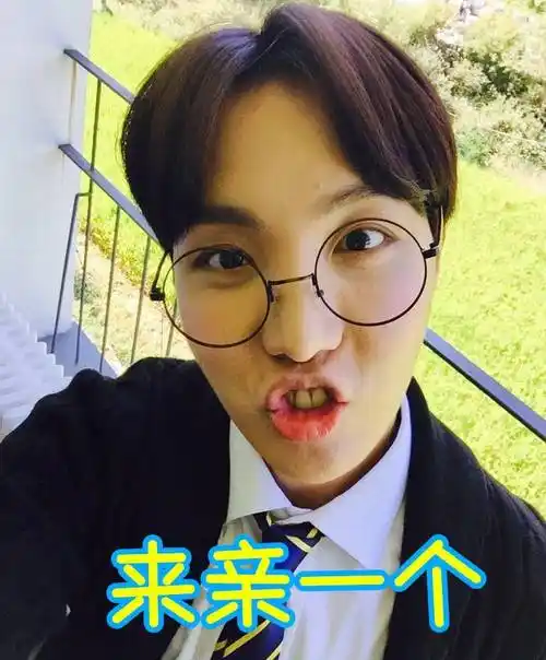 防弹少年团bts郑号锡jhope聊天表情包非