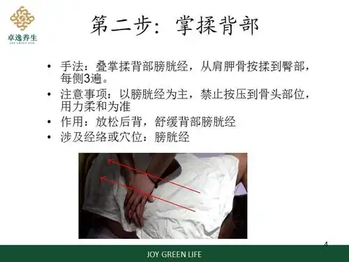 背部按摩手法ppt参考课件