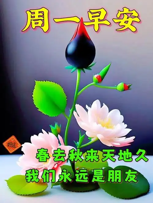 最新早上好问候语图片祝福|快乐|清晨|晨曦_网易订阅