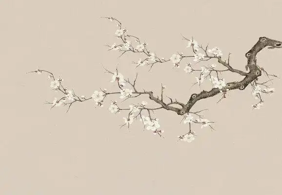 新中式花鸟梅花图壁画墙纸高清贴图