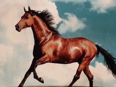 冰雪难以抵挡伊犁州之行