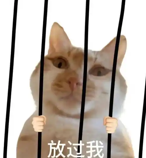 我来修理你丨第937期喵表情包_侵权_网络_图片