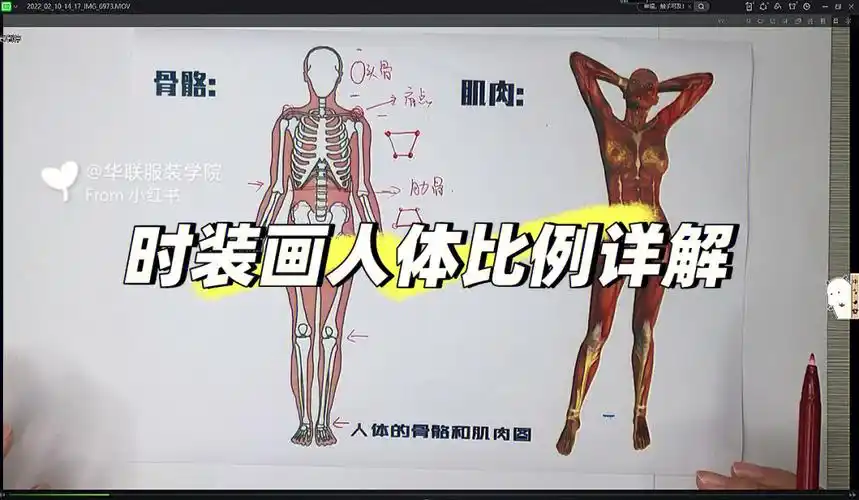 画技法96人体的正常比例服装设计教程课程内容:1,构图2,动态3,结构4