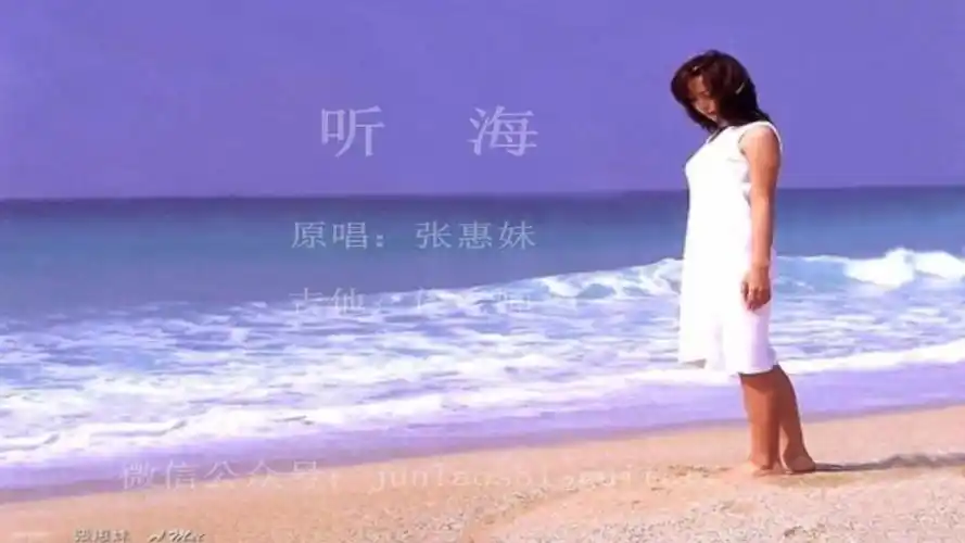 听海~张惠妹(俊老师吉他视频之三十五)