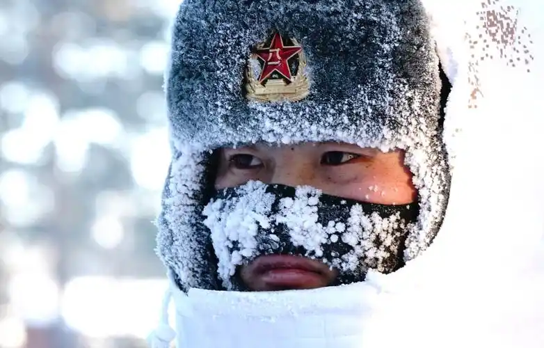 北极村哨兵挺立在风雪中的极地白杨6