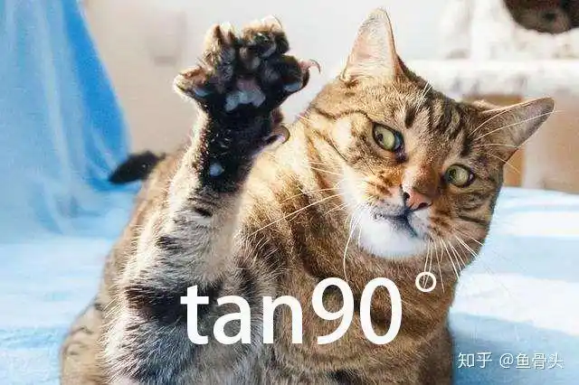 求一张猫咪tan90表情包