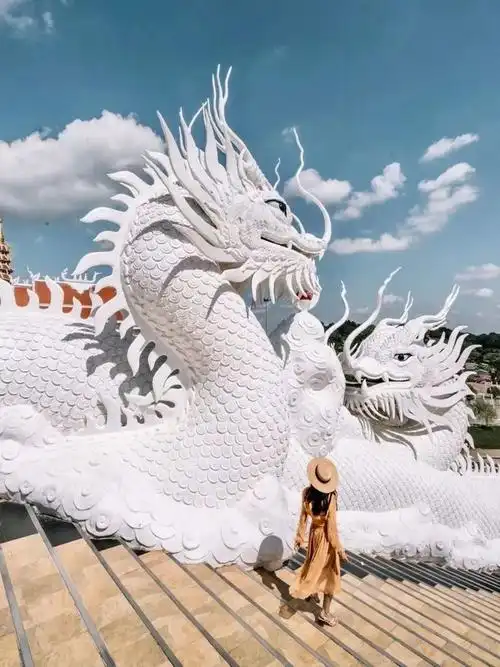 不可思议,神通广大的蛇妻|娜迦|渔夫|鳄鱼|巨蟒|水怪|食人鱼_网易订阅