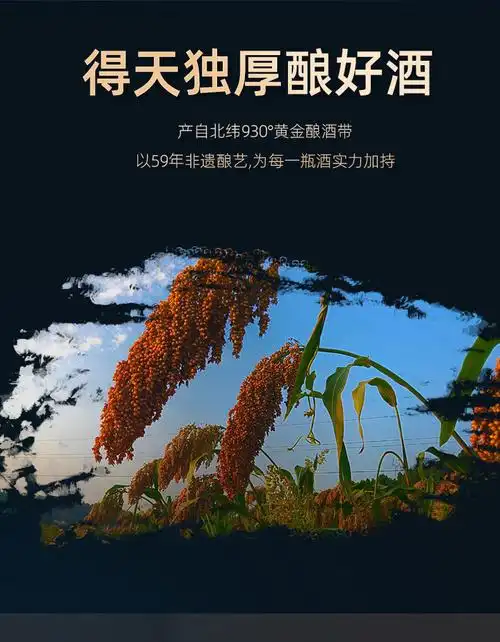 康师傅 四川光良59系列42度500ml*6瓶整箱装浓香型高粱粮食白酒口粮酒