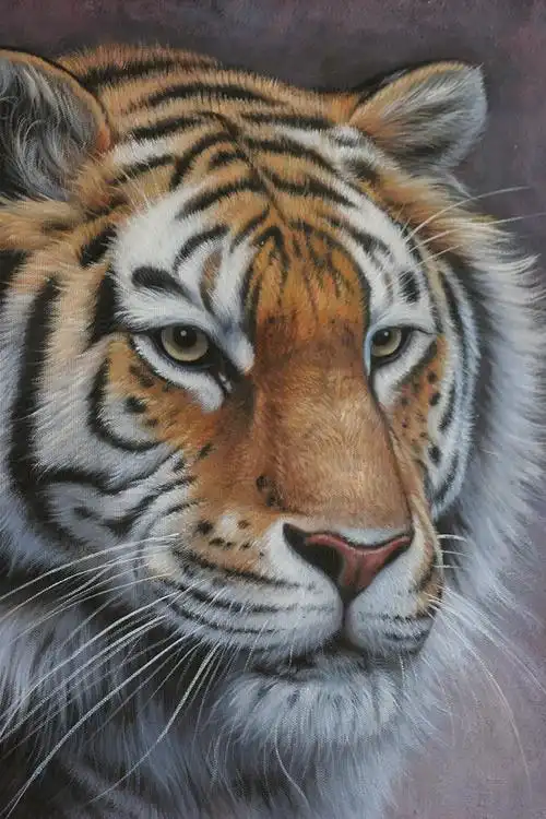 【学院艺术】广州美院 黄业灿《虎》布面油画 50x60cm