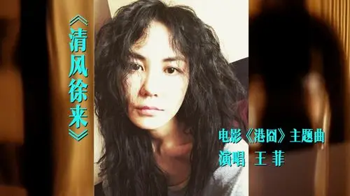 王菲《清风徐来》mv - 新片场