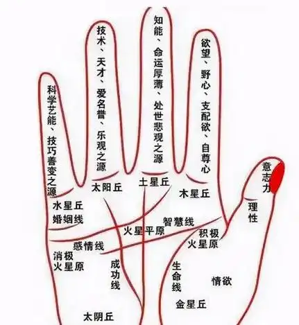 手相第十二课——感情线,命运线