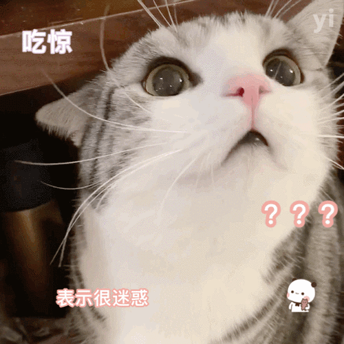 607_607gif 动态图 动图