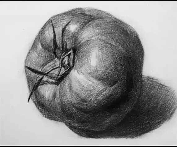 春秋教育基础素描课堂之单个静物练习素描静物陶罐结构步骤画法,很