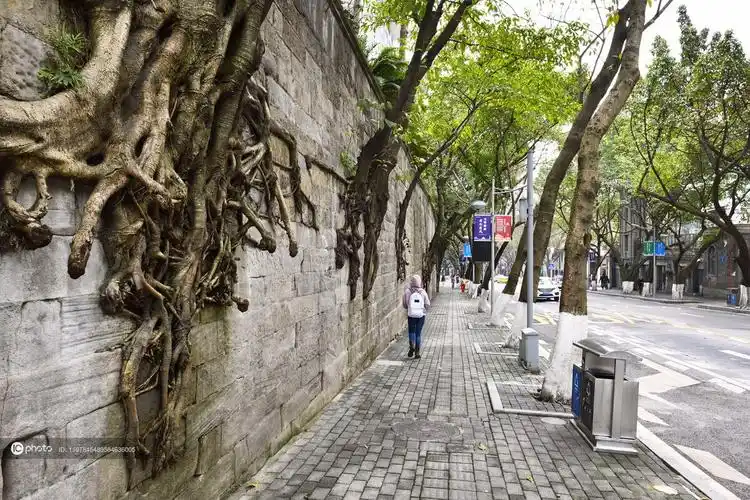 重庆主城最美网红街道中山四路