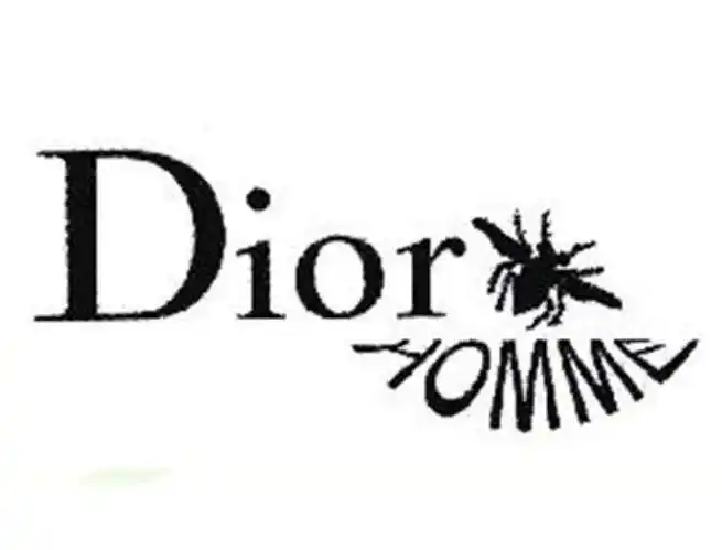 dior homme