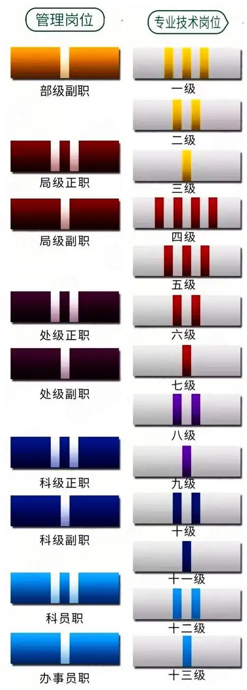 谈谈文职干部的肩章,领花,岗位等级标志