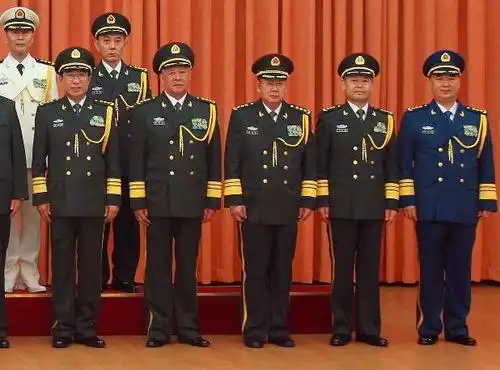 要看你是军官,士官,文职…… 如图,将官夏礼服,领章为松枝加五星(袖口