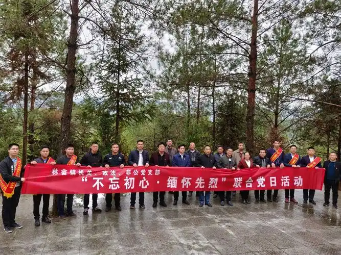 林畲镇开展祭扫烈士墓主题党日活动