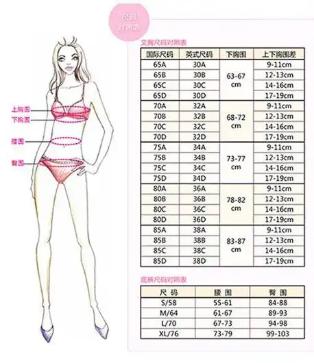 女性胸围尺码表胸围尺码表和胸围怎么算