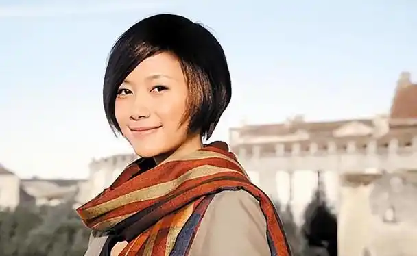 揭秘徐静蕾情感乾坤:她收服的才子与缔造的荧幕辉煌