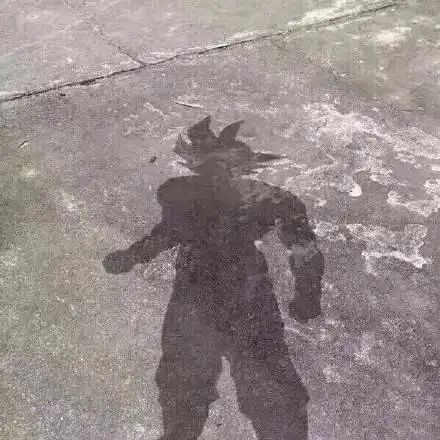 晒的我都现出原形了表情包 高清完整版