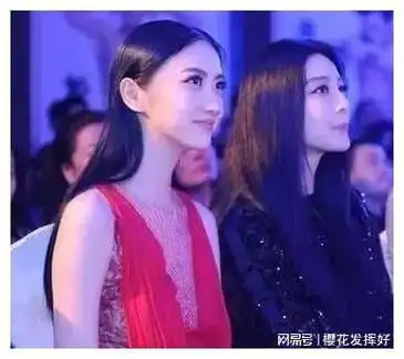 景甜,章子怡,张柏芝,刘亦菲和杨幂等等这些美女,各有各的美,到底哪一