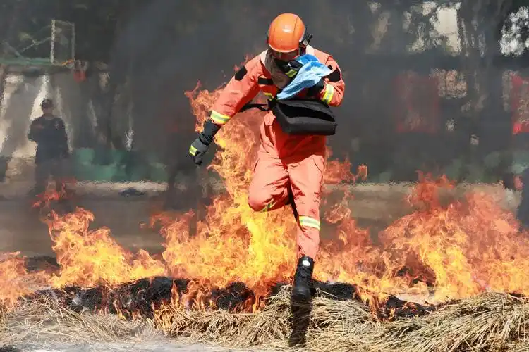 黄子韬周冬雨化身森林消防员朱正廷勇敢跨越大火