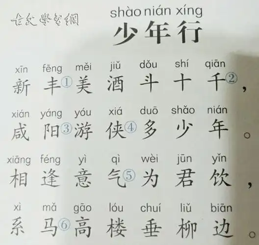 少年行王维唐诗注释翻译赏析