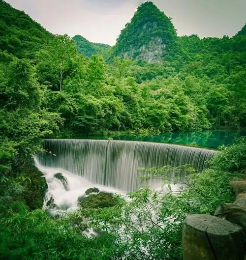 竹林听雨流水声