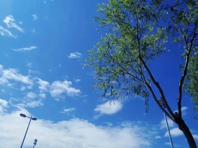 治愈系美图吴忠蓝天白云刷屏颜值爆表