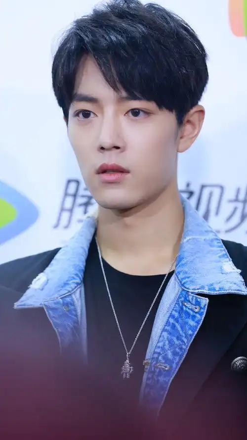 x玖少年团肖战daytoy.