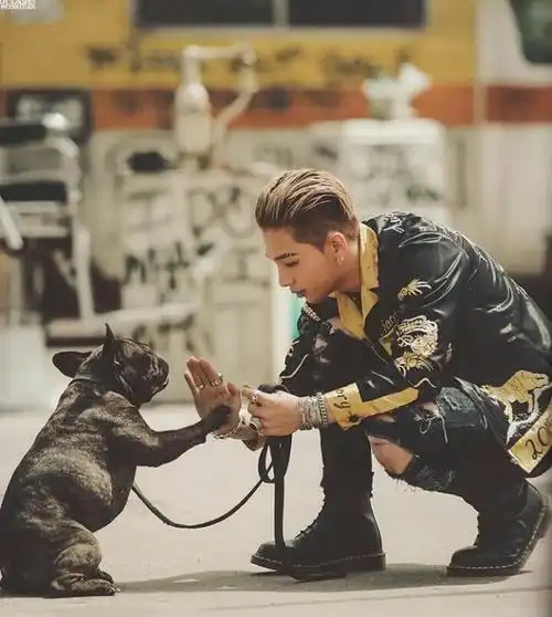 tae yang 太阳 东永裴