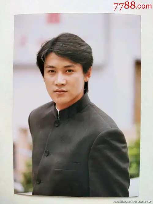 著名影星陆毅照片一张