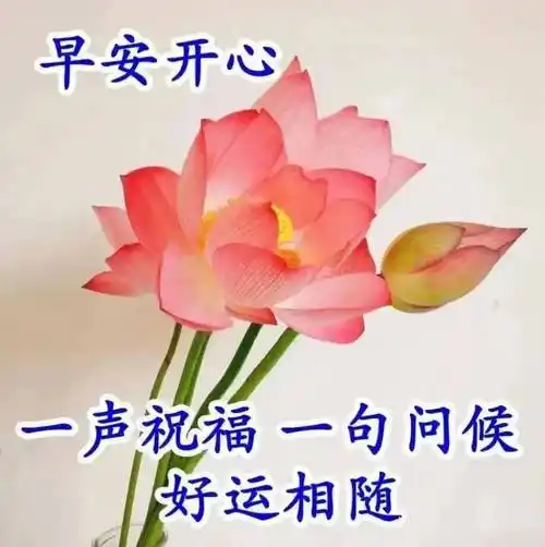 春日温馨的问候祝福语大全_因为_友谊_吉祥