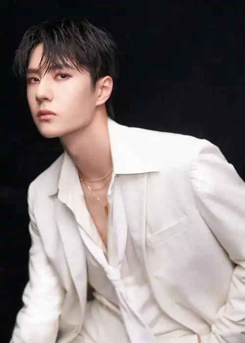 王一博白衬衫证件照