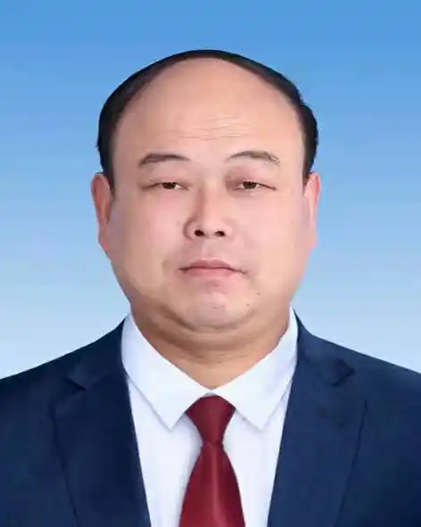 肖向阳河南省正阳县大林镇党委委员副镇长