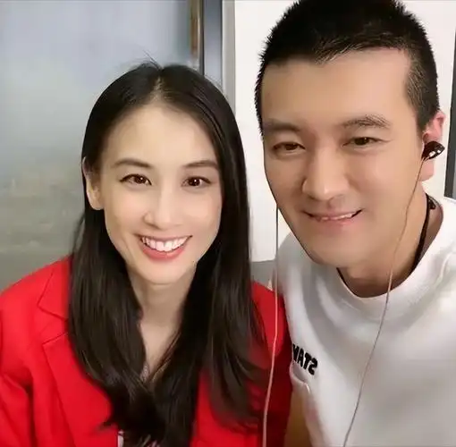 杨子前妻陶虹个人资料