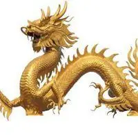 2020发财微信头像属龙女【点击鼠标右键下载】