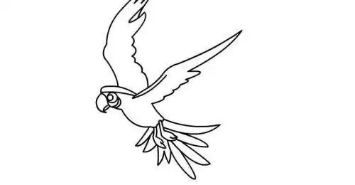 简笔画的绘画教学了,我们在对小鸟进行绘画时,重点画出小鸟张开翅膀的